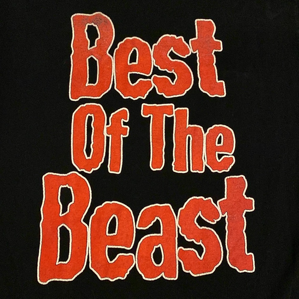 Vintage Iron Maiden Best of the Beast Graphic T-Shirt Men’s Large Metal 2003 - Picture 10 of 16